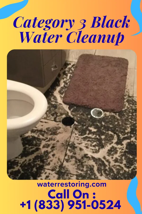 Category 3 Black Water Cleanup in Hardesty, OK